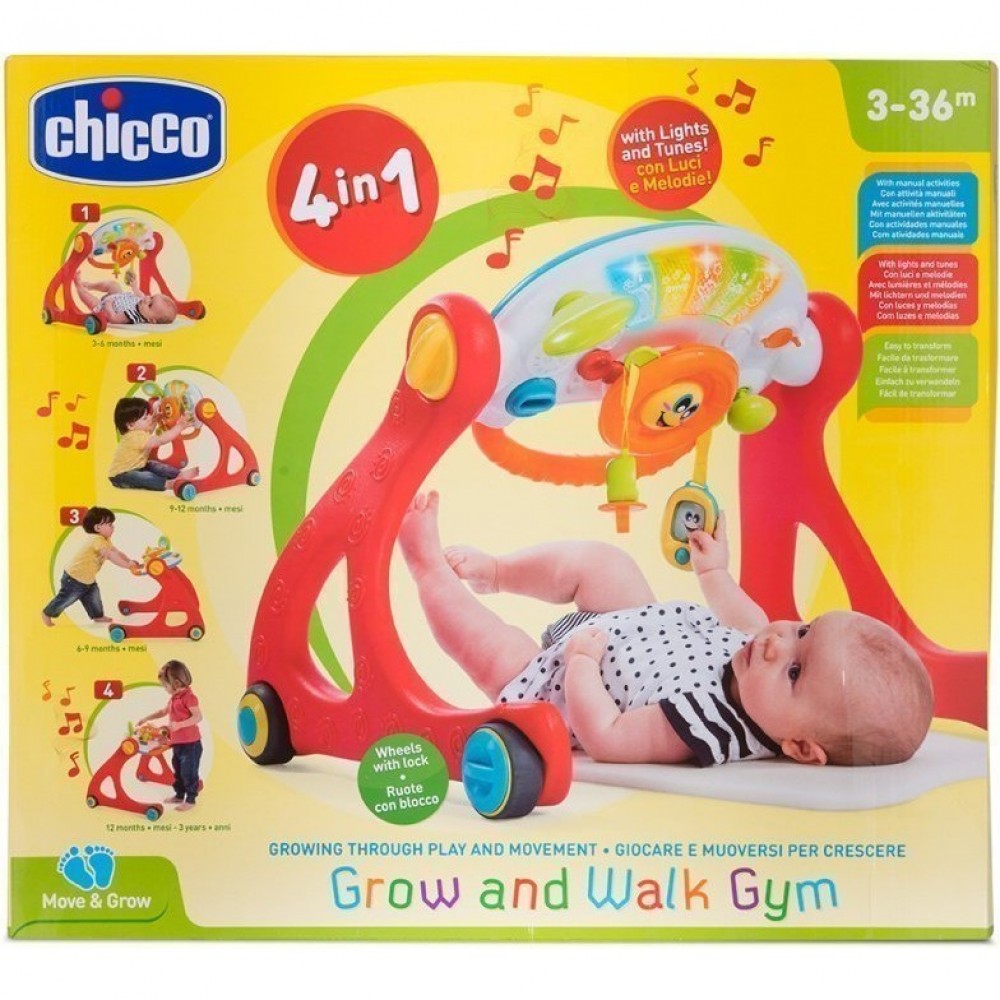 Chicco gym hot sale 3 in 1